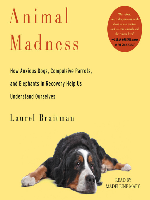 Title details for Animal Madness by Laurel Braitman - Available